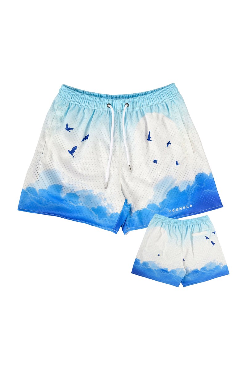 Young LA block party shorts in 2023  Block party, Shorts, Shorts athletic